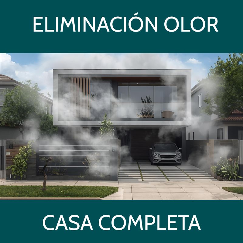 Eliminación de Olor en casa completa